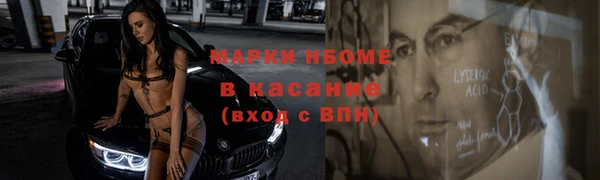 прущие грибы Балахна