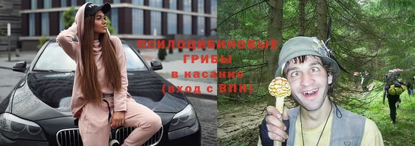 прущие грибы Балахна