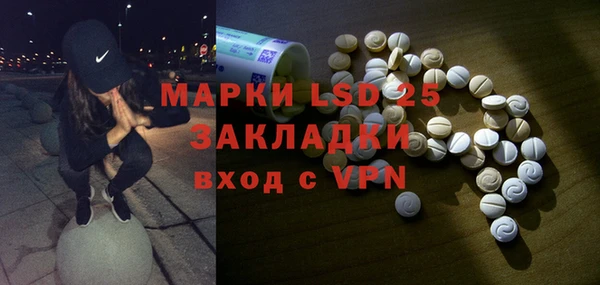прущие грибы Балахна