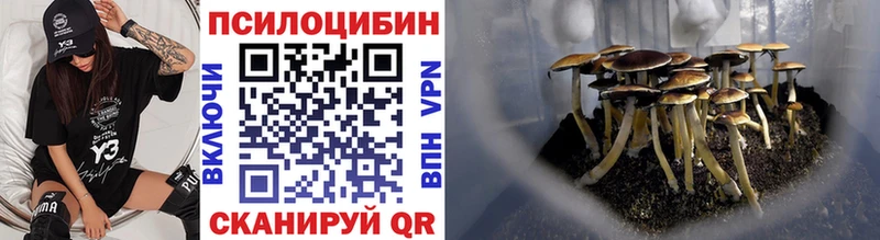 кракен ONION  Озёры  Галлюциногенные грибы Psilocybine cubensis  площадка Telegram  купить закладку 